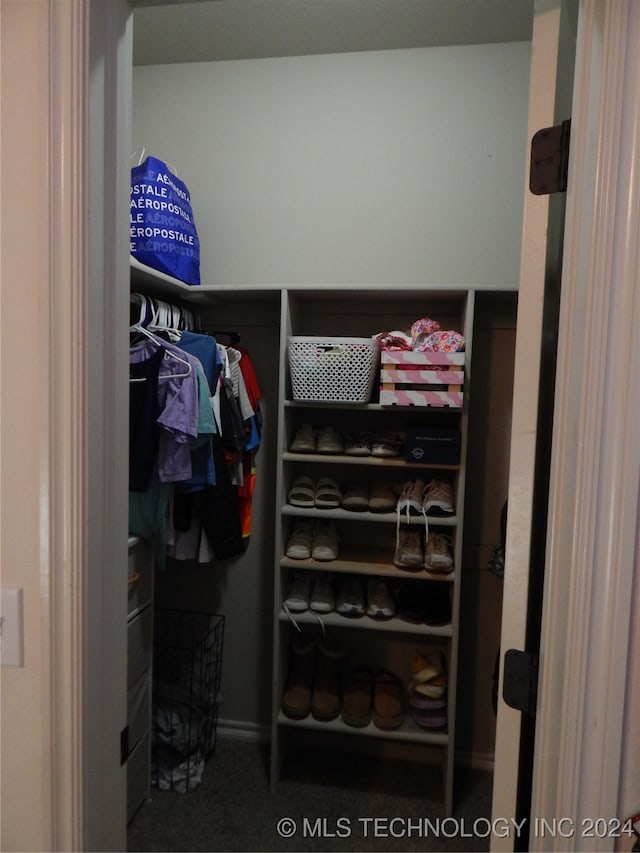 view of closet