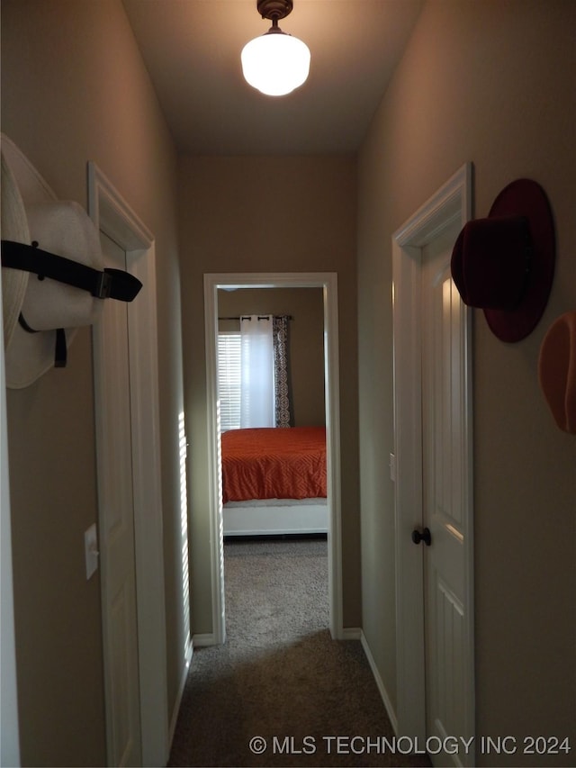 hallway with carpet floors