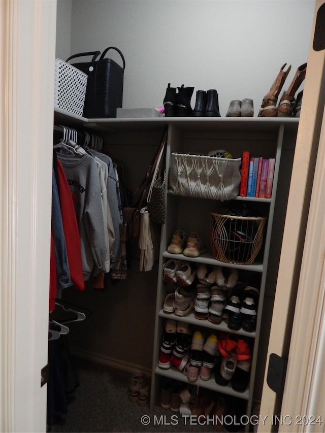 view of walk in closet