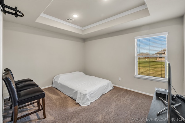 carpeted bedroom featuring a raised ceiling