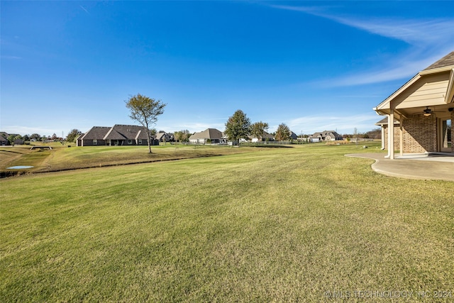 view of yard featuring a patio