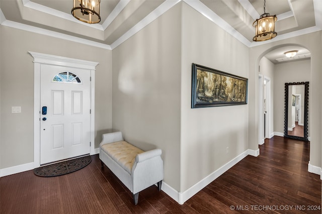 foyer entrance with dark hardwood / wood-style floors, a raised ceiling, and ornamental molding