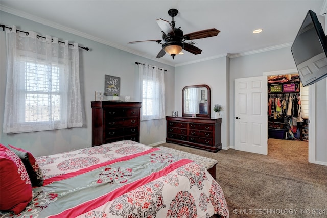 carpeted bedroom with ceiling fan, a walk in closet, ornamental molding, and a closet