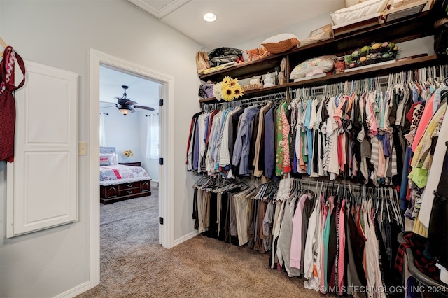 spacious closet with ceiling fan and light carpet