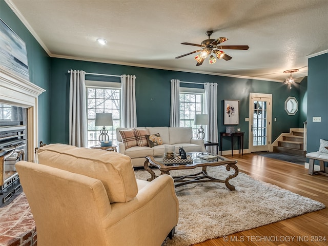 living room featuring light hardwood / wood-style floors, ornamental molding, a textured ceiling, and a wealth of natural light