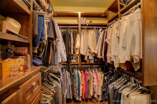 view of spacious closet