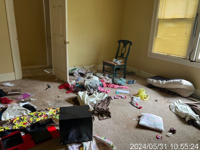 miscellaneous room featuring carpet flooring