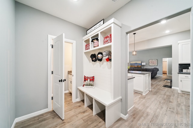 mudroom with light wood-type flooring