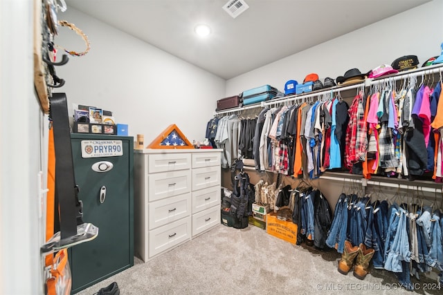 spacious closet with light carpet