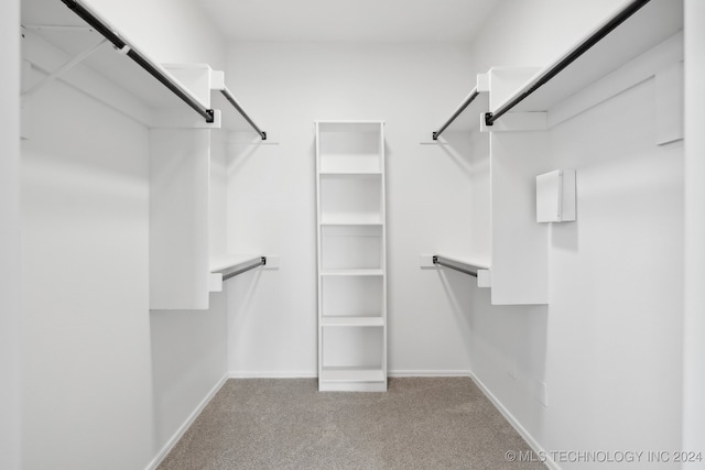 walk in closet featuring a barn door and carpet flooring