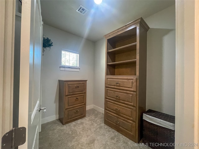 view of closet