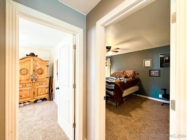 hallway with carpet floors