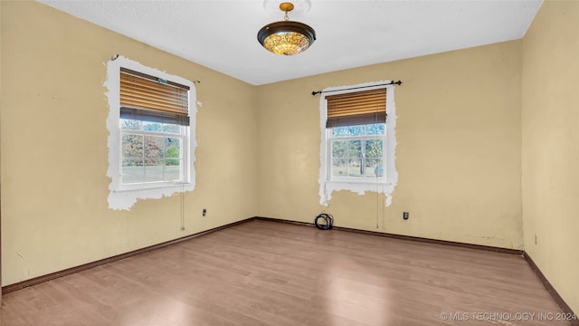 empty room featuring a healthy amount of sunlight and light hardwood / wood-style flooring