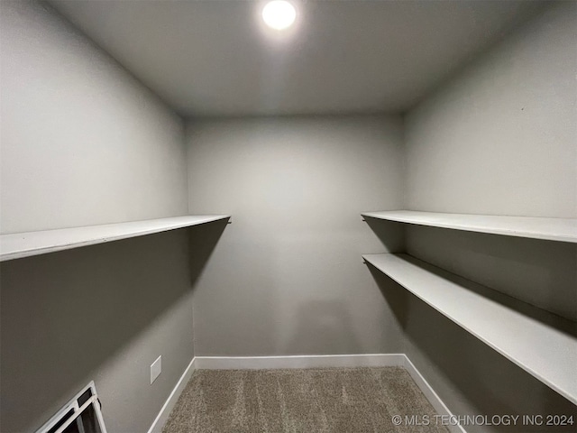 walk in closet featuring carpet flooring