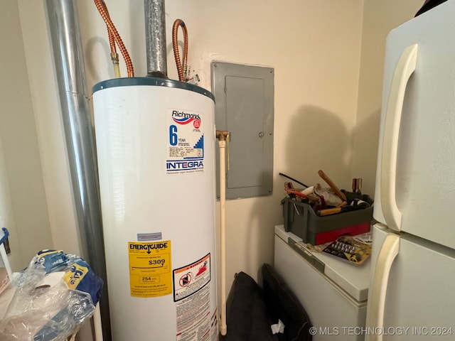 utilities with electric panel and gas water heater