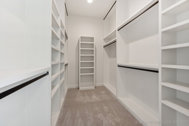 spacious closet with light colored carpet