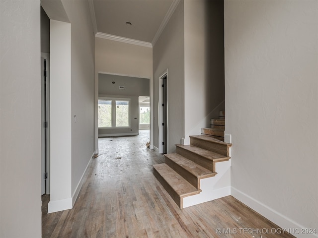 hall featuring light hardwood / wood-style flooring and ornamental molding