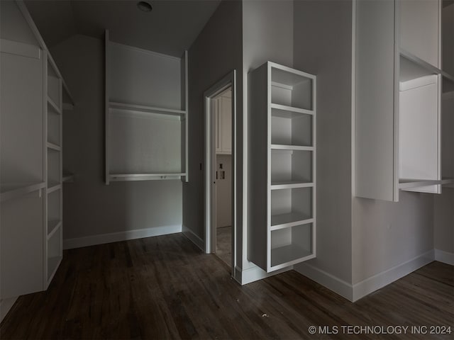 walk in closet featuring dark hardwood / wood-style flooring