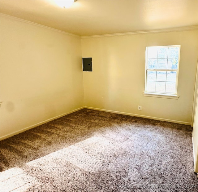 spare room featuring carpet flooring, ornamental molding, and electric panel