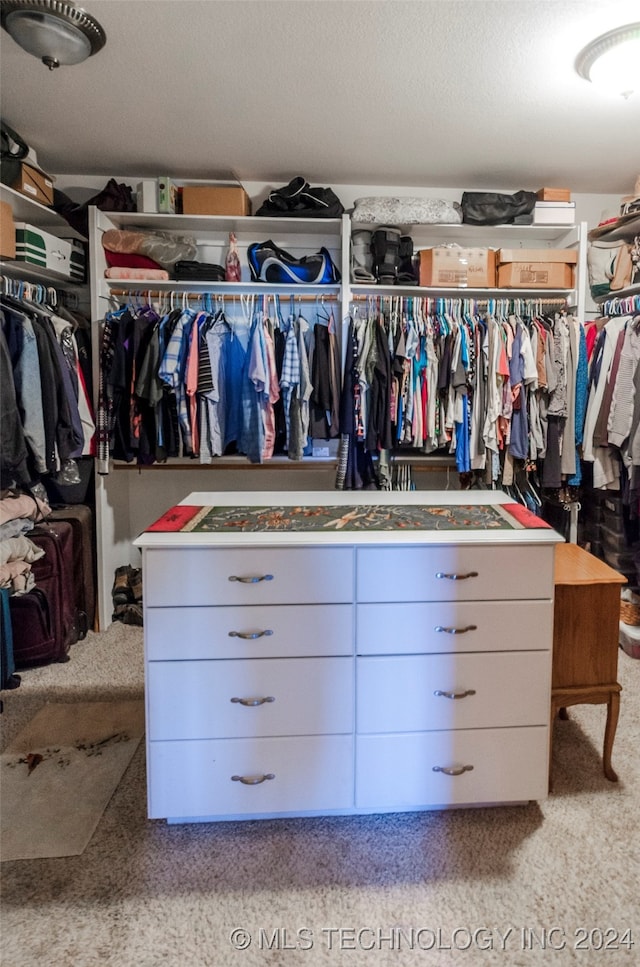 spacious closet with light colored carpet