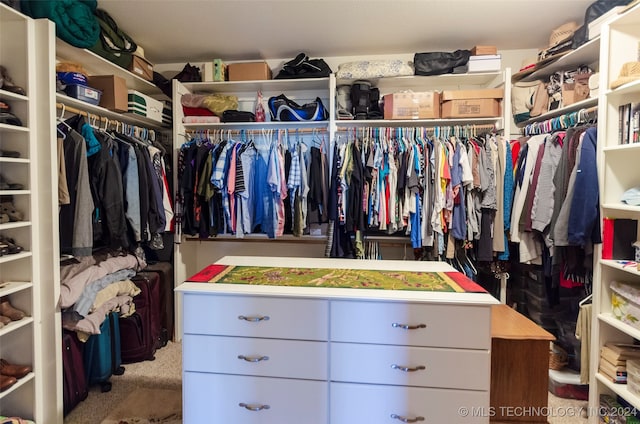 spacious closet with carpet flooring