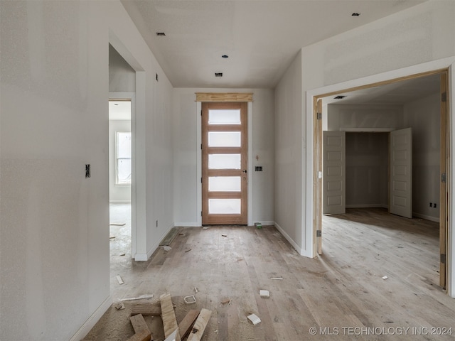 entrance foyer featuring light hardwood / wood-style floors