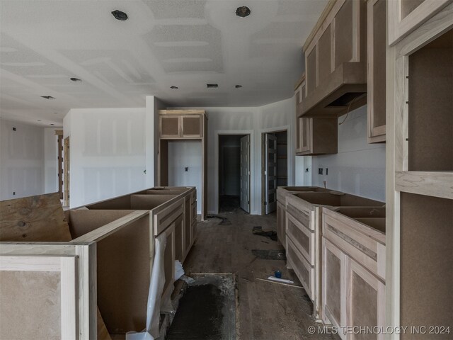 kitchen featuring ventilation hood