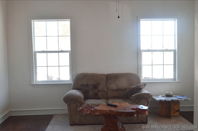 living area with a healthy amount of sunlight