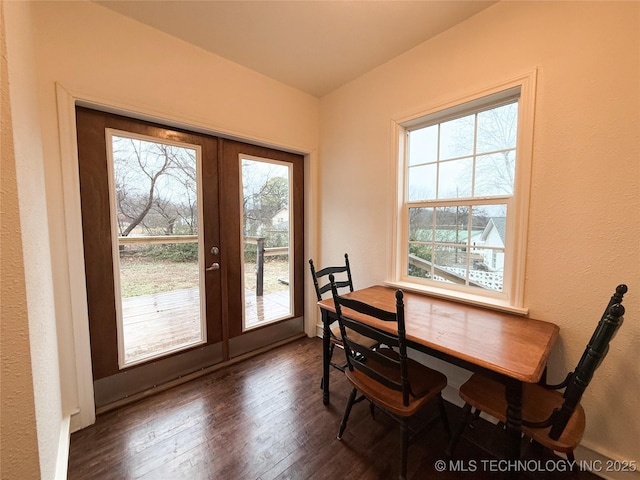 dining space featuring dark hardwood / wood-style floors, a wealth of natural light, and french doors