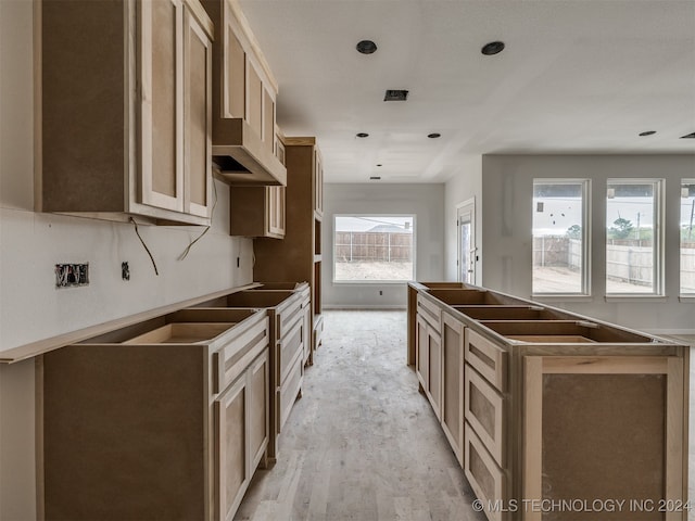 kitchen featuring a wealth of natural light, light hardwood / wood-style flooring, and a kitchen island