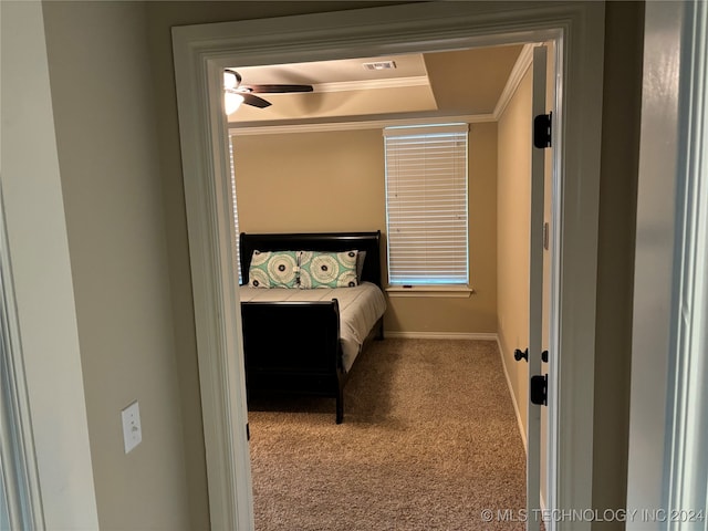 unfurnished bedroom with carpet floors, a raised ceiling, ceiling fan, and ornamental molding