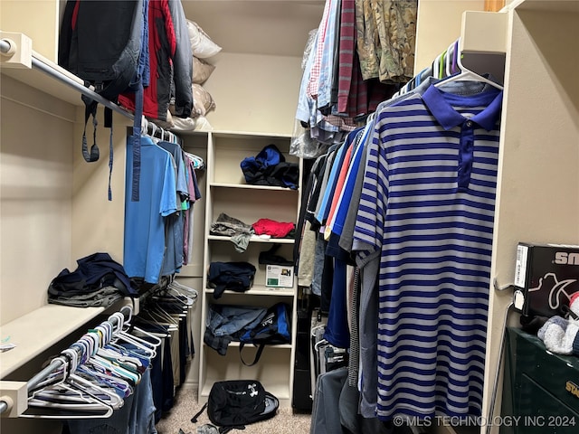 walk in closet featuring carpet flooring