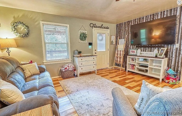 living room featuring light hardwood / wood-style flooring