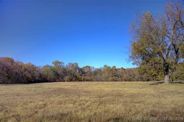 view of yard with a rural view