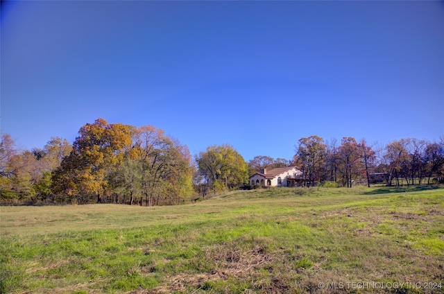 view of yard with a rural view