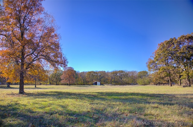 view of yard with a rural view