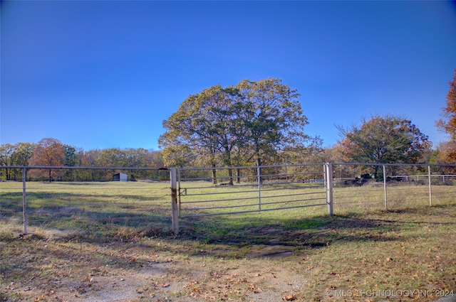 view of yard featuring a rural view