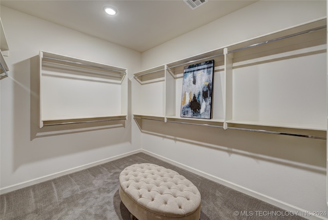 spacious closet featuring carpet floors