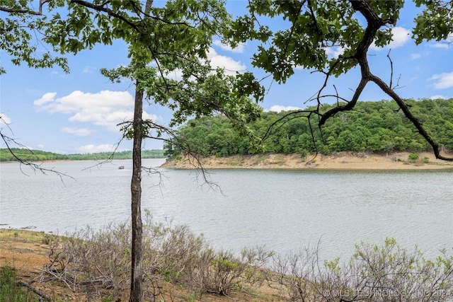 property view of water