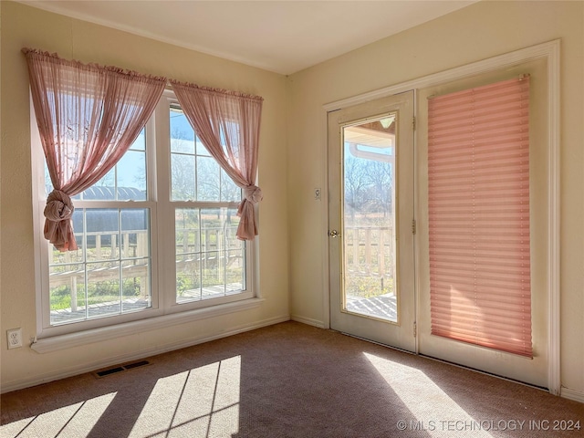 doorway with carpet flooring