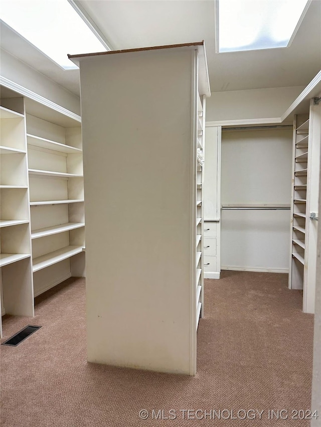 spacious closet featuring carpet floors