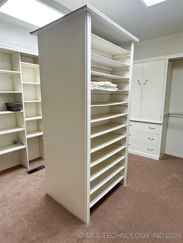 spacious closet featuring light colored carpet