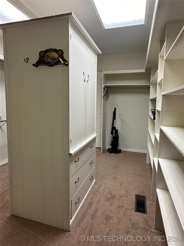 walk in closet with light colored carpet