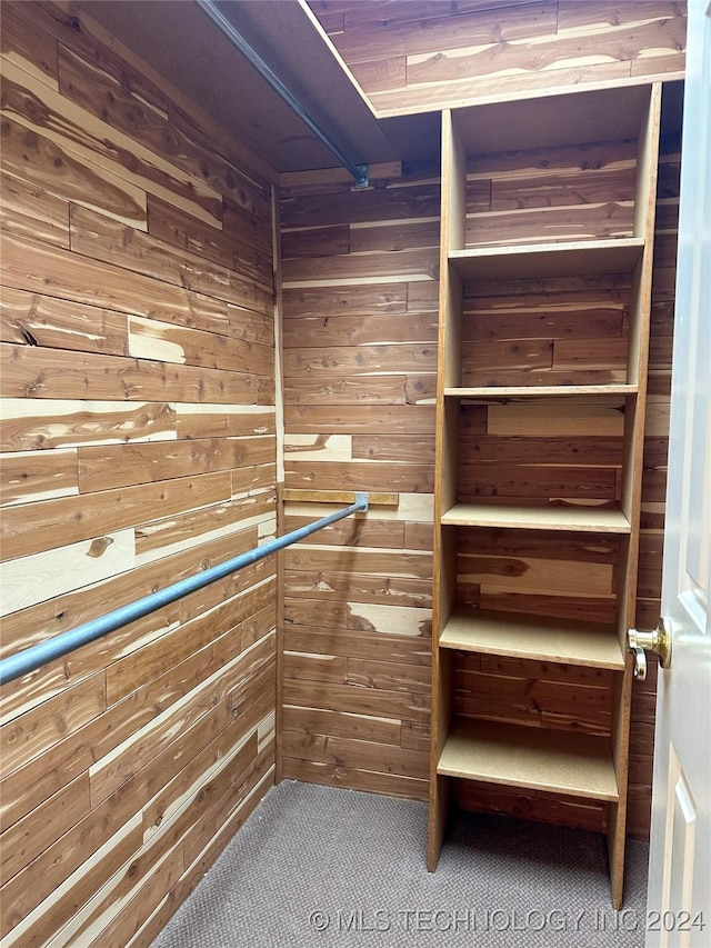 spacious closet with carpet flooring