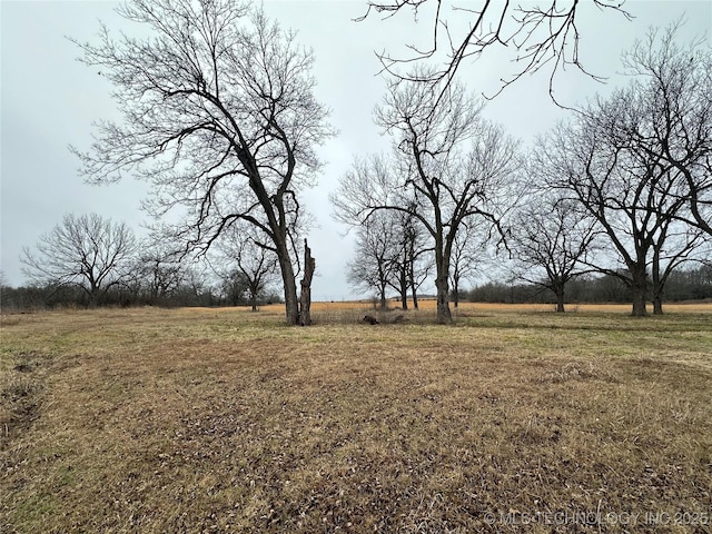 view of yard with a rural view