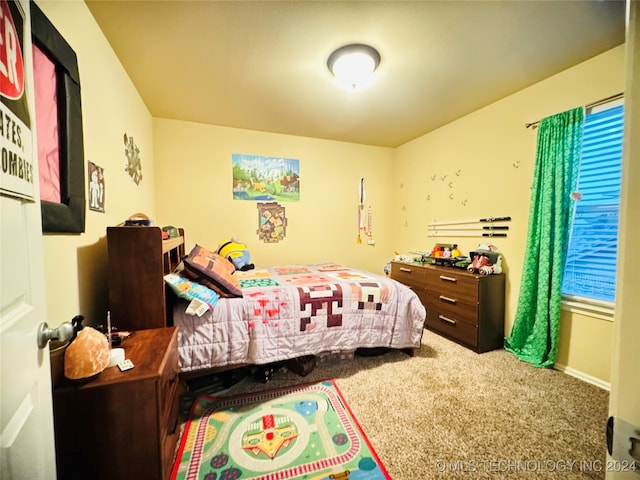 bedroom with carpet floors