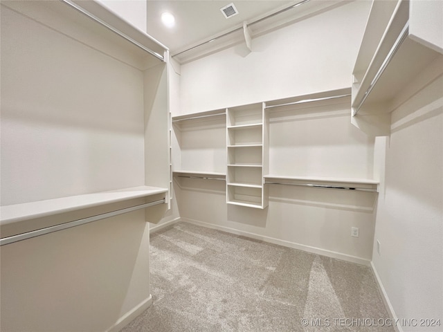 spacious closet featuring light colored carpet