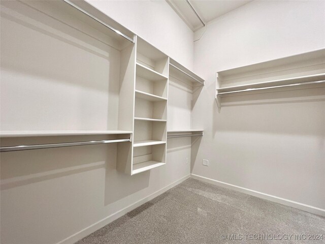 walk in closet with carpet