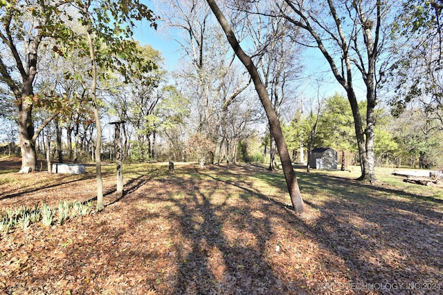 view of yard featuring a storage unit