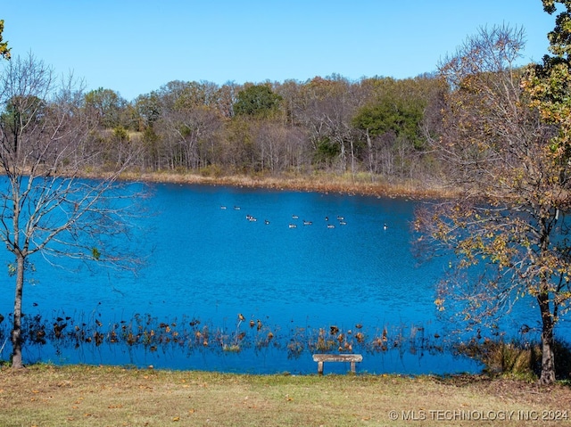 property view of water